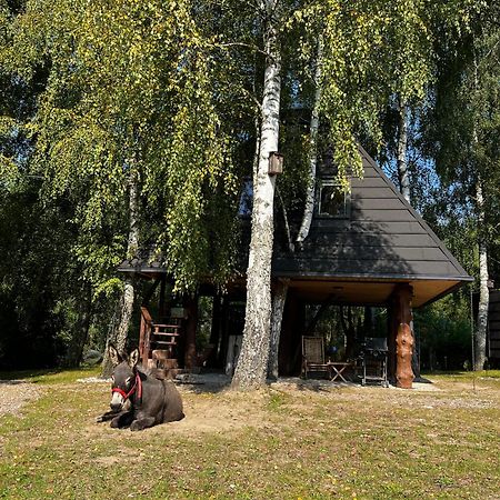 Apartament Piramida w uniesieniu Borzytuchom Zewnętrze zdjęcie